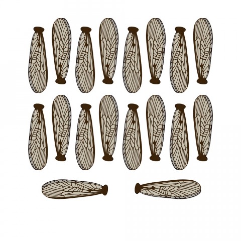 Крылья для имитации Веснянки, stonefly