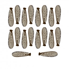 Крылья для имитации Веснянки, stonefly