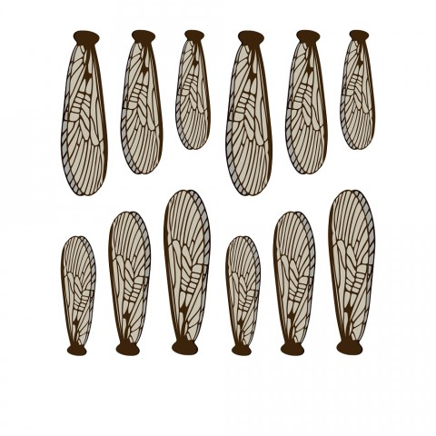 Крылья для имитации Веснянки, stonefly, крючки #12-6