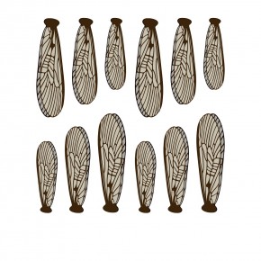 Крылья для имитации Веснянки, stonefly, крючки #12-6